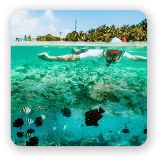 Snorkel Diver