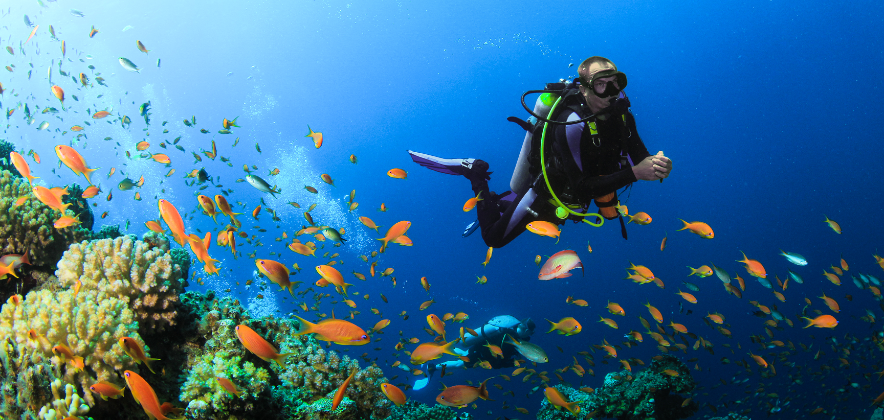 How Dangerous Is Scuba Diving? Risks, Safety, and Facts for Beginners