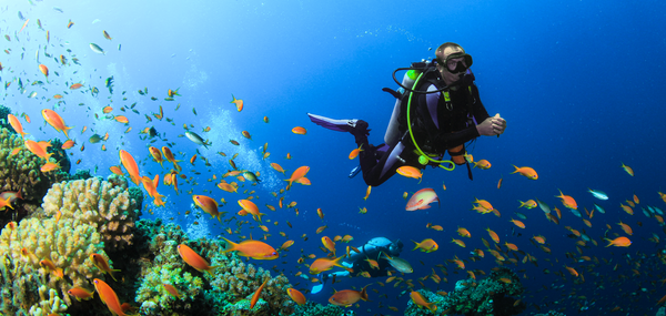 How Dangerous Is Scuba Diving? Risks, Safety, and Facts for Beginners