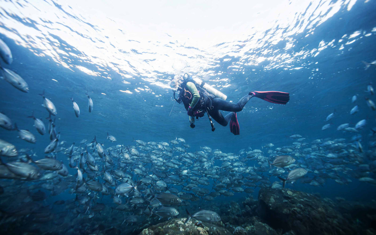 Best Dive Computers for Recreational and Technical Divers