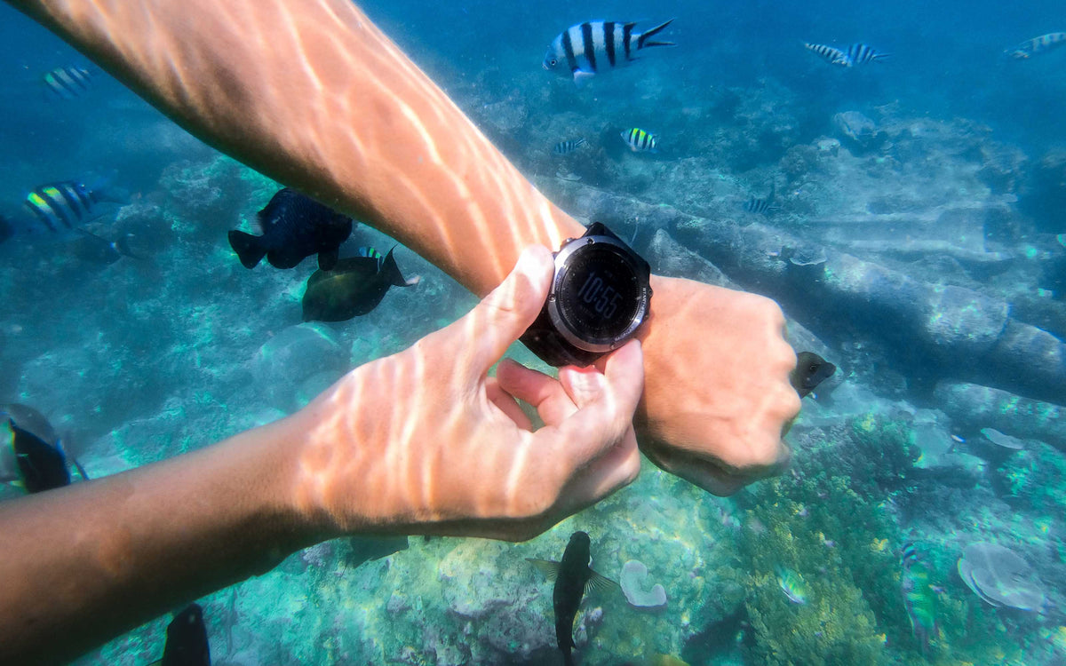 Dive Computer vs Dive Watch: Which Do Beginners Actually Need?