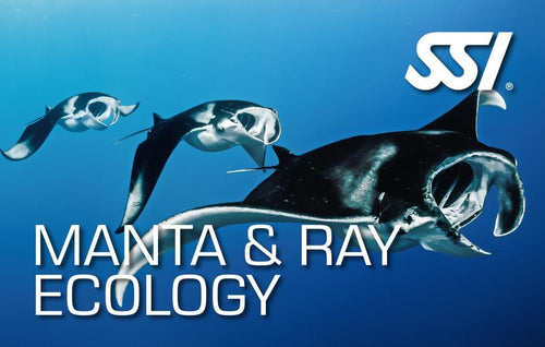 Marine Mammals Ecology