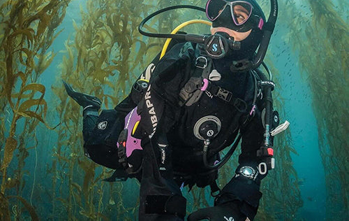 Starts : Thu, Nov 5, 2026 : Nov 6-7, 2026 - California boat diving and iconic kelp forests (Price: $505.00)