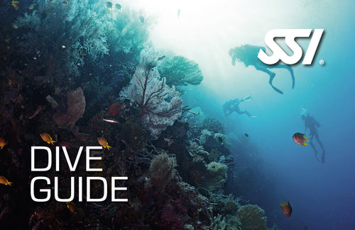 Dive Guide