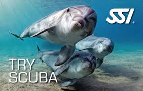 Starts : Sat, Aug 08, 2026 : Aug 8, 2026 - Try Scuba (Price: $65.00) (Oceanwide Outfitters)
