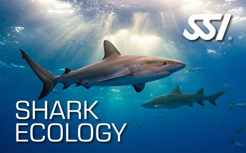 Shark Ecology