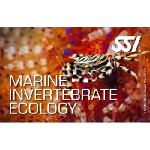 Marine Invertebrate Ecology