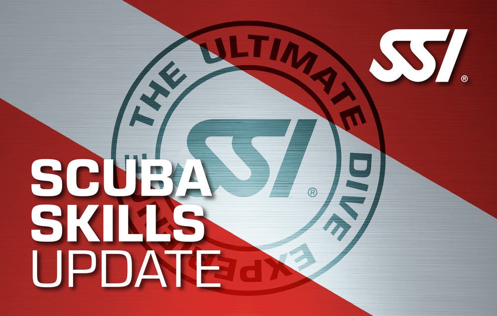 Starts : Fri, Nov 06, 2026 : Nov 6, 2026 Scuba Skills Update (Price: $175.00)
