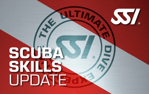 Starts : Fri, Jul 17, 2026 : July 17, 2026 Scuba Skills Update (Price: $175.00)