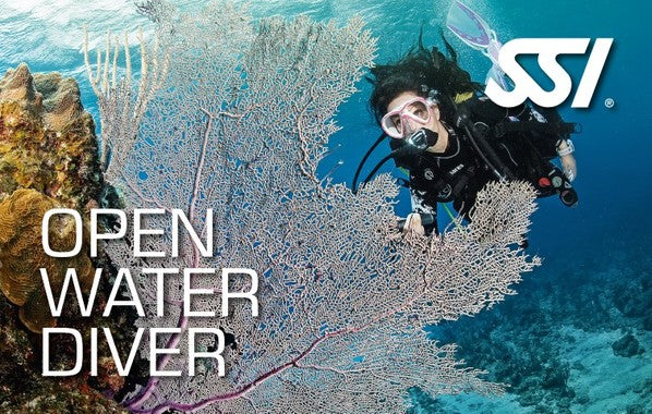 Starts : Sat, Aug 01, 2026 : Aug 1, 2026 - Open Water Diver (Price: $499.99) (Oceanwide Outfitters)
