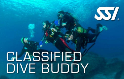 Classified Dive Buddy