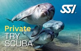 Private Group - Try Scuba Course