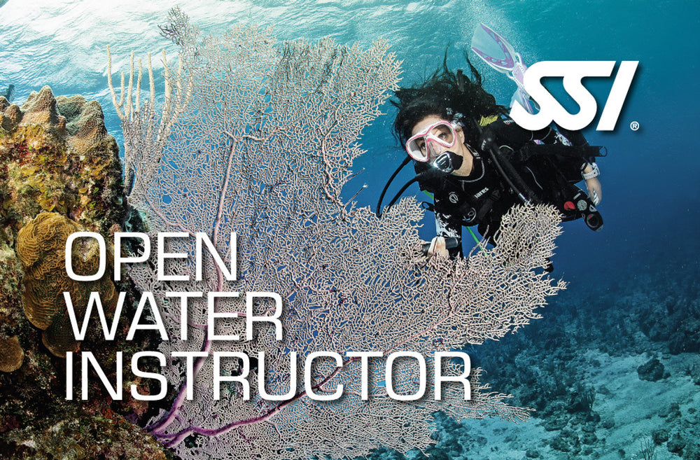 Open Water Instructor