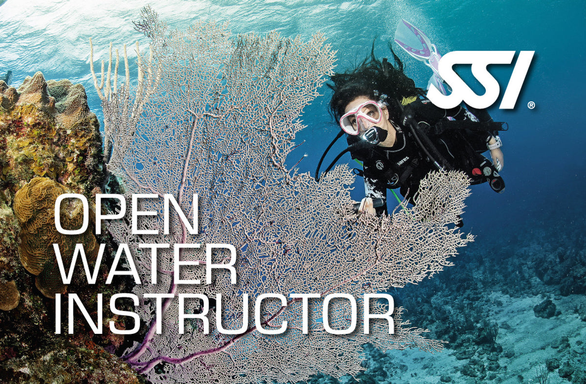 Open Water Instructor