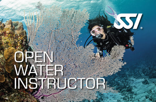 Open Water Instructor