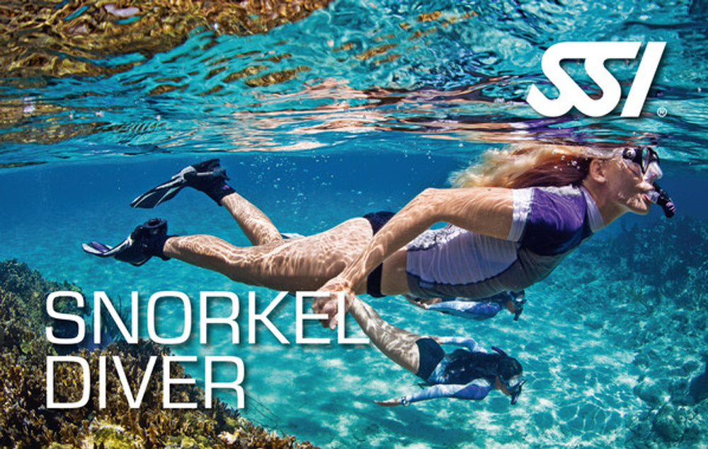 Starts : Fri, Nov 06, 2026 : Nov 6, 2026 - Snorkel Diver (Price: $79.00)