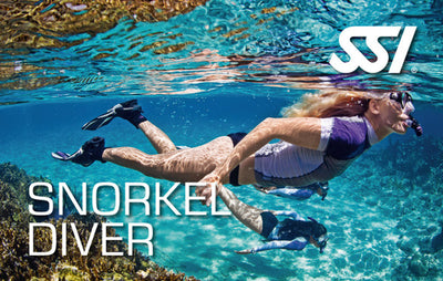Starts : Fri, Oct 09, 2026 : Oct 9, 2026 - Snorkel Diver (Price: $79.00)