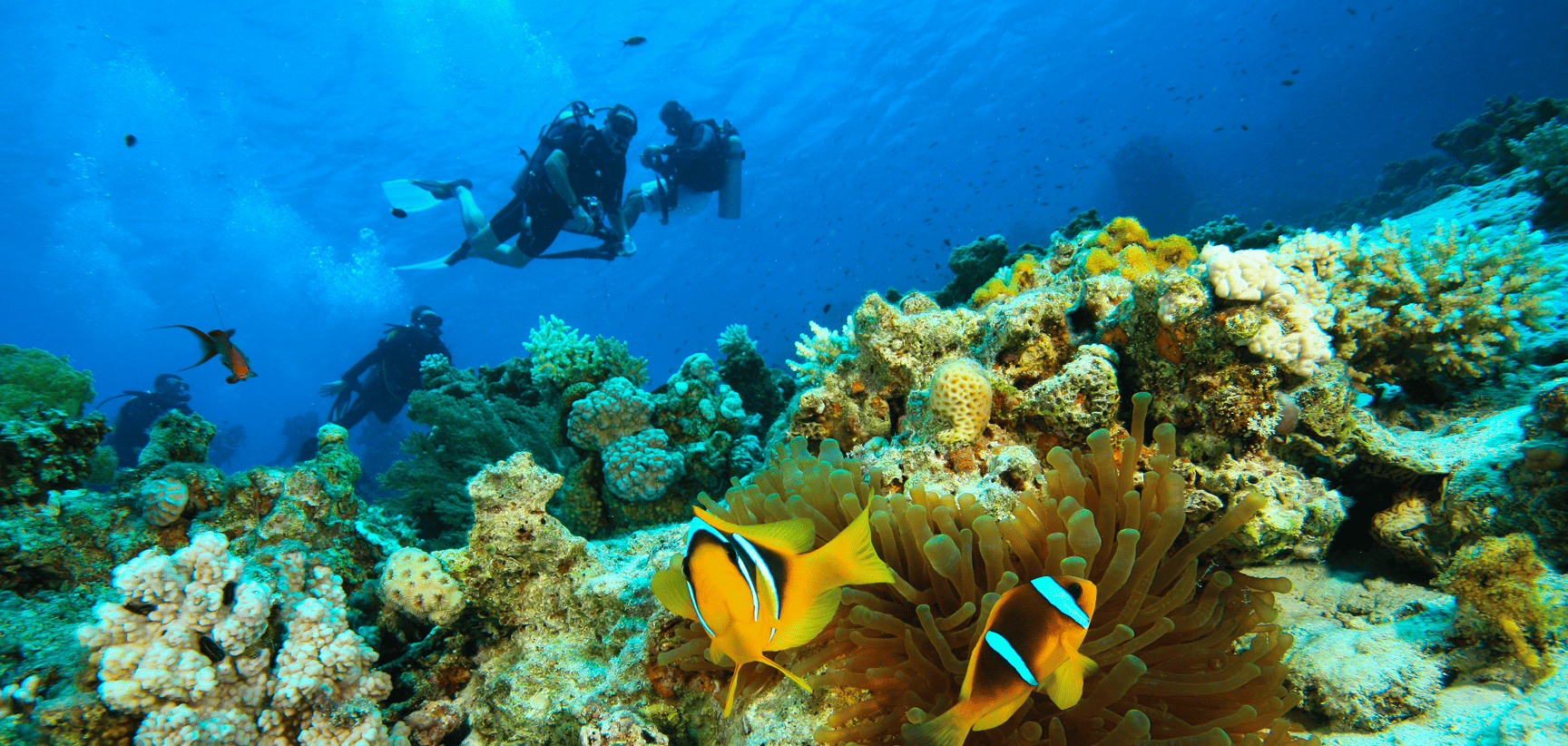 About Oceanwide Outfitters