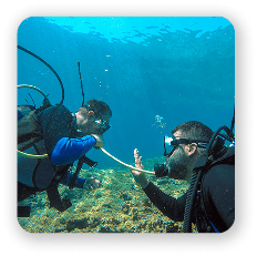 Classified Dive Buddy