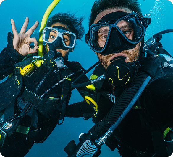 Scuba Divers