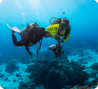 Underwater Scuba