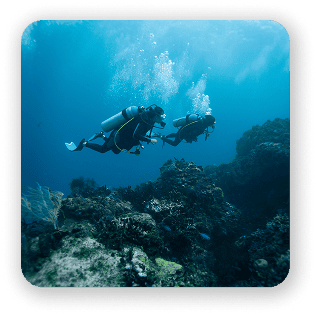 Open Water Diver