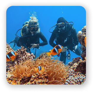 Open Water Instructor