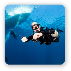 Perfect Buoyancy