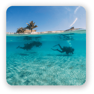 Scuba Skills Update
