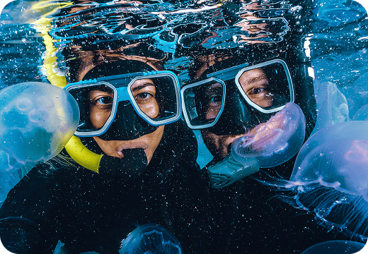 Scuba Divers Underwater